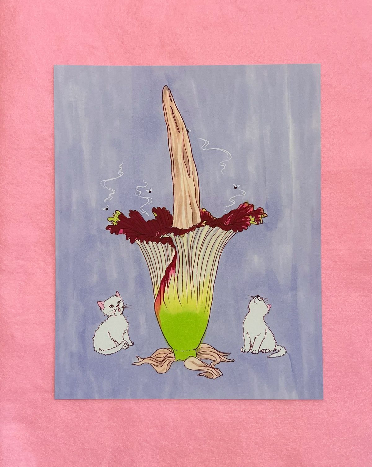 Halloween Edition Print- Kitties First Corpse Flower