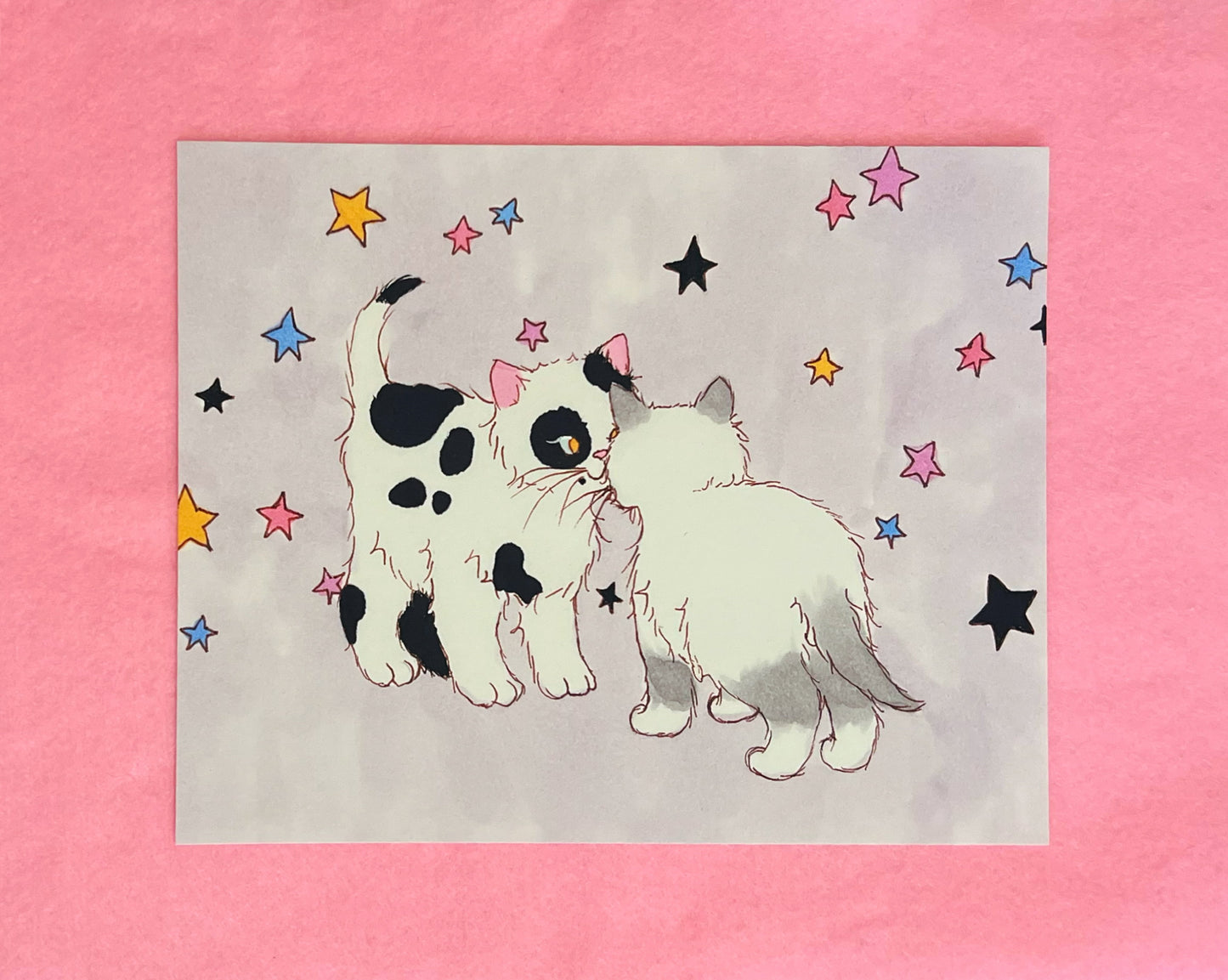 Summer Edition Print- Seeing Stars