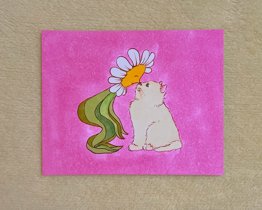 Spring Boops