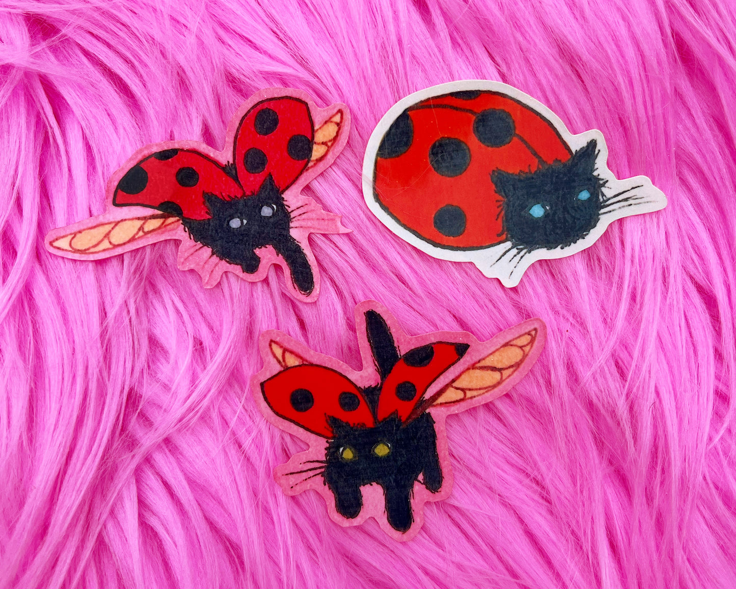 A Sticker Pack- Ladybug Cats